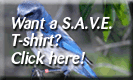 S.A.V.E. t-shirts