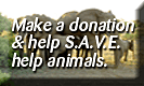Help S.A.V.E. save animals